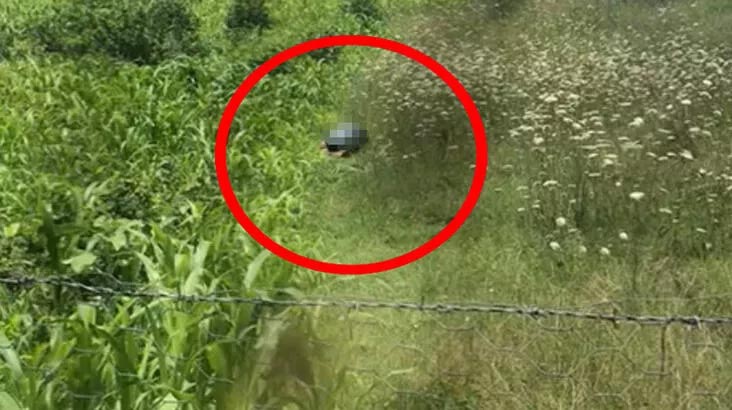 İğrenç olayda flaş gelişme!