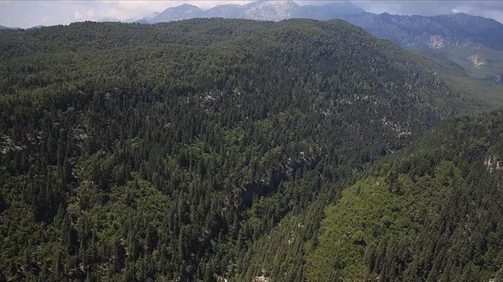 15 Eylül’e kadar yasaklandı