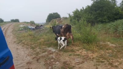 Bursa’da şaşkına çeviren olay! Dün kaybolmuştu…