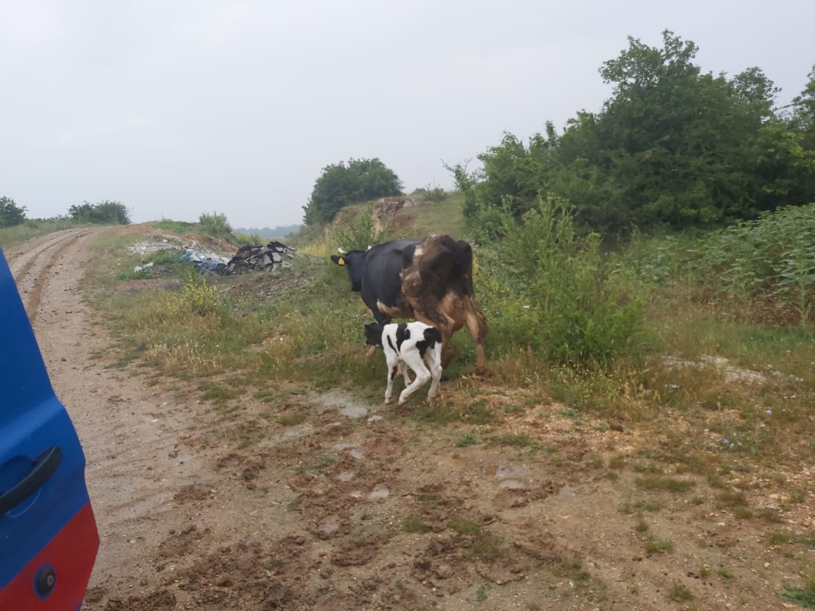 Bursa’da şaşkına çeviren olay! Dün kaybolmuştu… Bursa’da şaşkına çeviren olay! Dün kaybolmuştu…