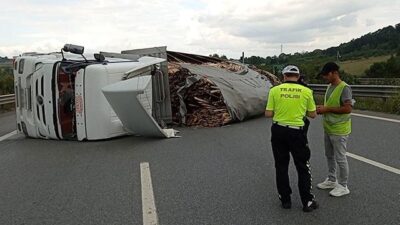 Kereste yüklü TIR devrildi, otoyol ulaşıma kapandı
