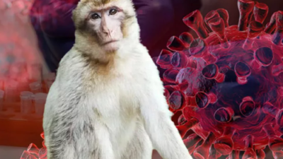 İlk ölüm gerçekleşti! Yeni tehdit