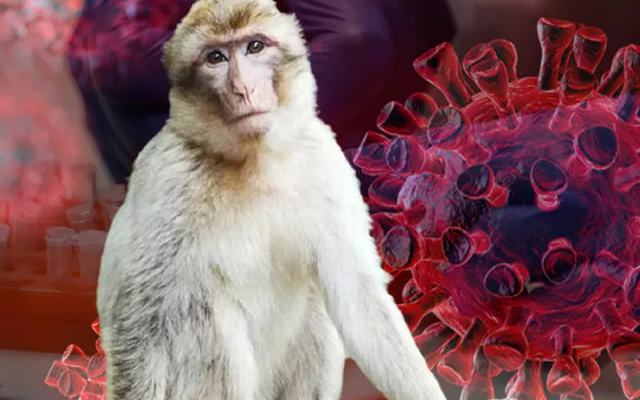 İlk ölüm gerçekleşti! Yeni tehdit