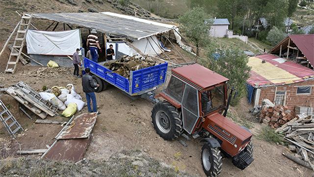Aç kalan kurtlar koyunlara saldırdı: 103 hayvan telef oldu