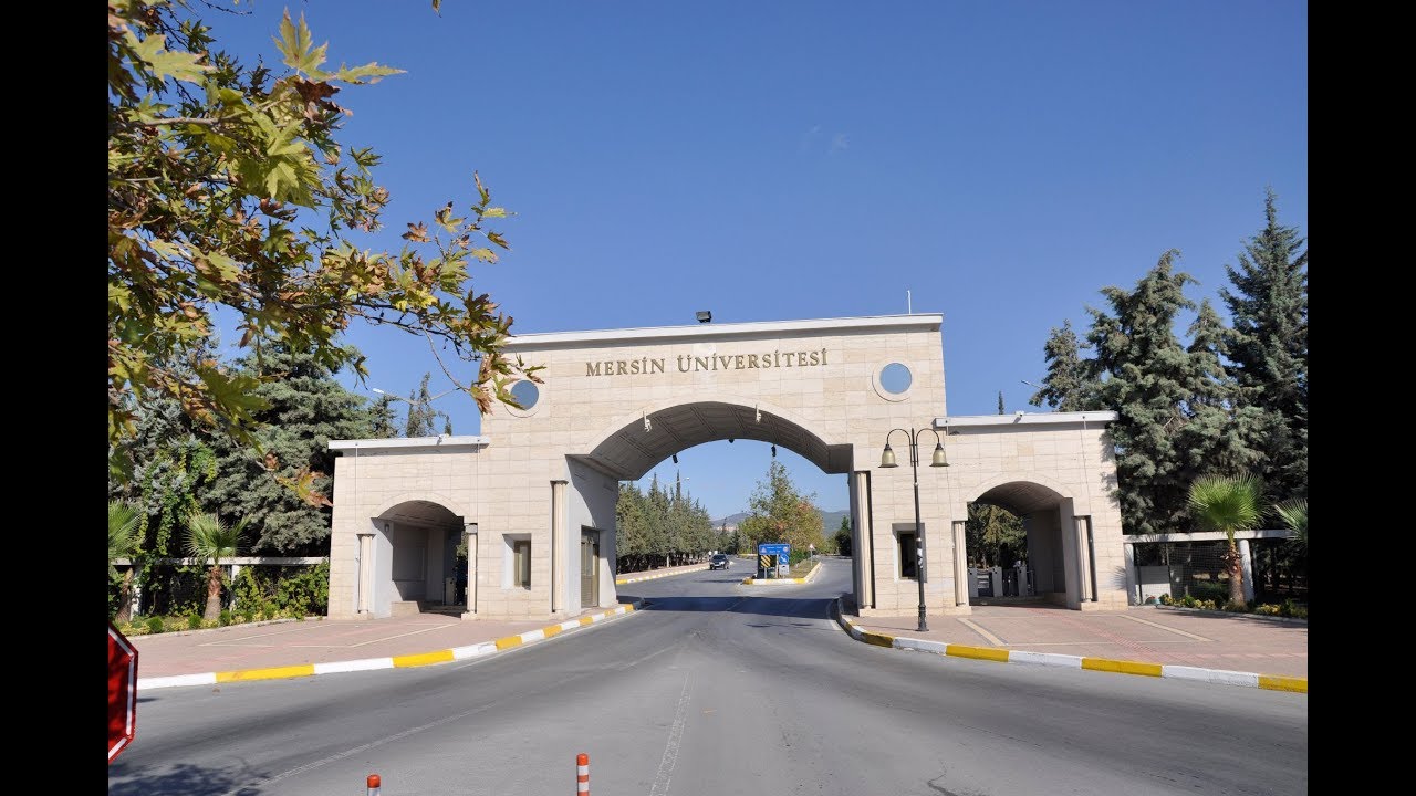 Üniversiteye öğretim elamanı alımı… Üniversiteye öğretim elamanı alımı…