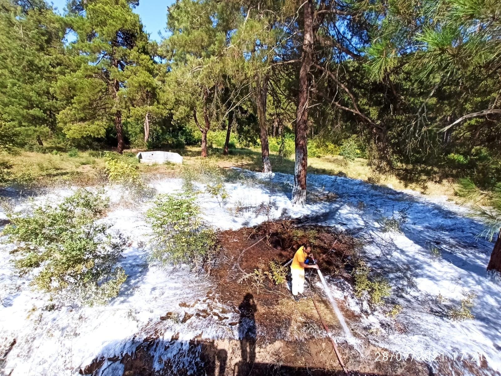 Bursa’da orman yangını! Anında müdahale edildi