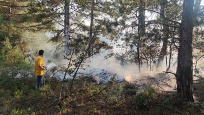 Bursa’da orman yangını! Bakın neden çıktı?