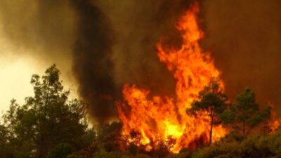 Bursa’da 1 Eylül’e kadar yasaklandı: Gecikmiş ama yerinde karar