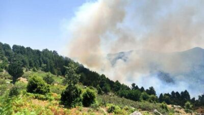 Bir orman yangını da Kütahya’da