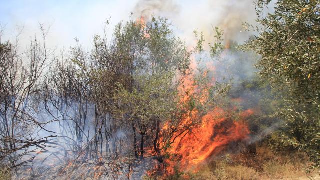 Antalya’dan sonra 4 ilde daha yangın