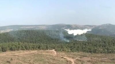 İzmir’de orman yangını