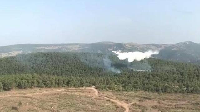 İzmir’de orman yangını