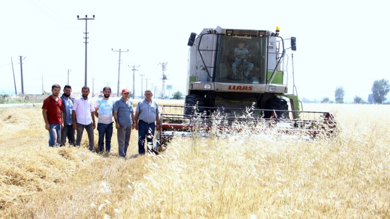 Bursa’da çiftçilerin derdi büyük! Ekimin az olması arpa ve buğday fiyatlarının yüksek olmasına sebep