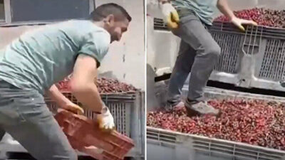 Mide bulandıran görüntü ekipler harekete geçti