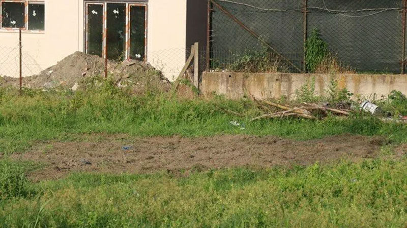 Cesetlerin sırrını silikonlar çözecek