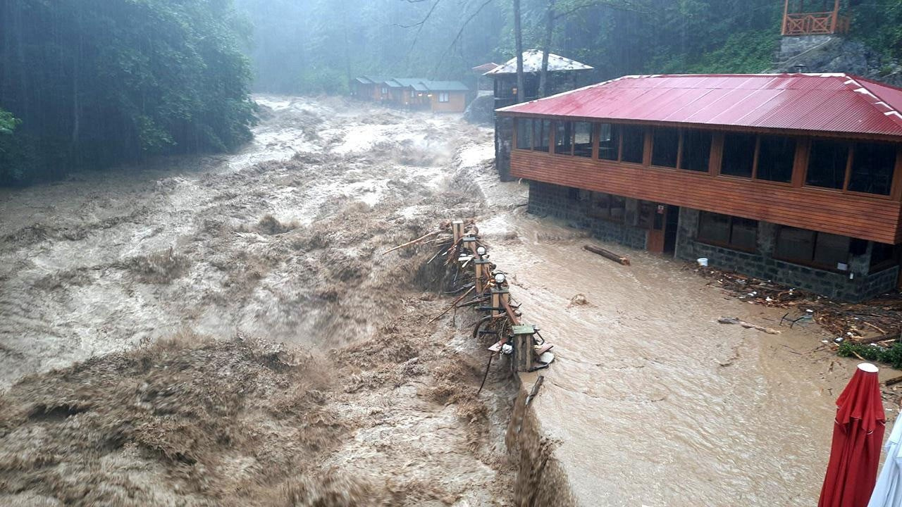 Ağaçlar kesilip çay bahçesi yapıldı! Ortaya bu görüntü çıktı…