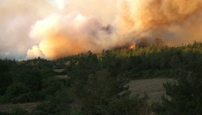 Osmaniye’deki orman yangınıyla ilgili 5 gözaltı