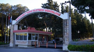 Bursa tarımı nasıl kurtulur? Reçeteyi eski başkan yazdı…