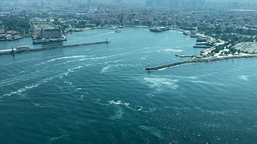 YÖK’ten müsilaj için flaş karar