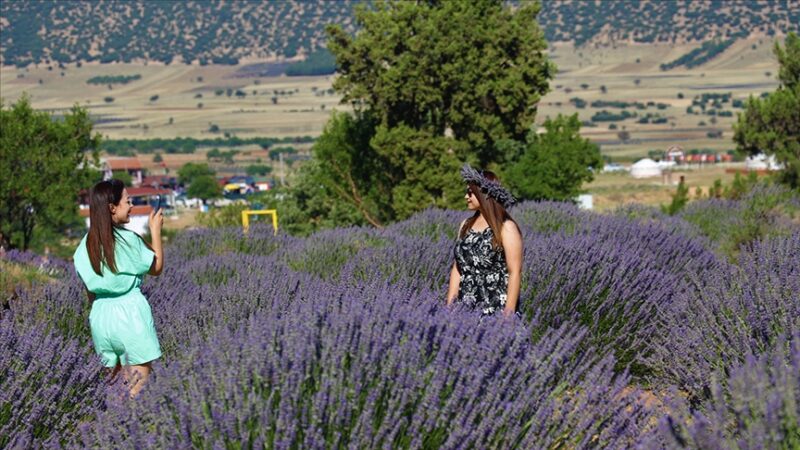 Isparta'nın Keçiborlu ilçesindeki "lavanta kokulu köy" olarak anılan Kuyucak köyünün,