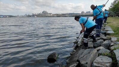 Endişelendiren gelişme! Balık ölümleri giderek artıyor