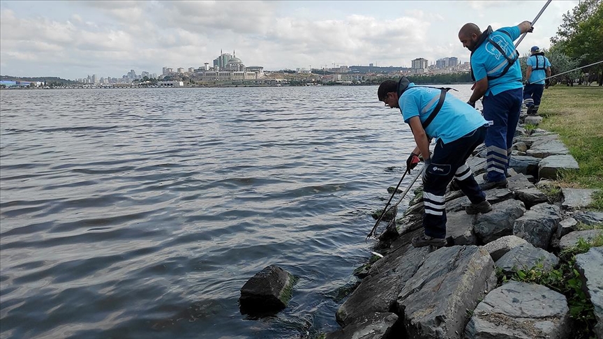Endişelendiren gelişme! Balık ölümleri giderek artıyor