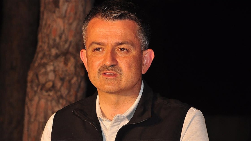 Bakan Pakdemirli’den açıklama: Yanan ağaçların yerine misliyle fidan dikilecek