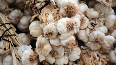 Haziranda fiyatı en çok düşen ‘sarımsak’ oldu