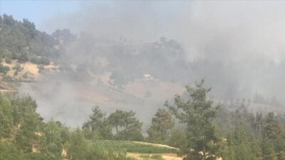 Kahramanmaraş’ta orman yangını