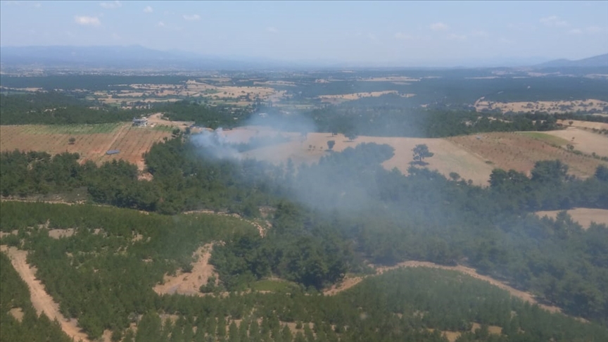 Çanakkale’de orman yangını