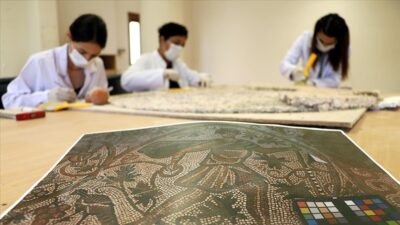 Amik Ovası’nda yetişen üzümün ‘tarihe kazınmış’ izleri ziyaretçiyle buluşacak