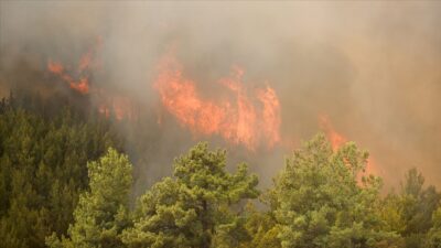 Bakan Pakdemirli: Acımız çok büyük
