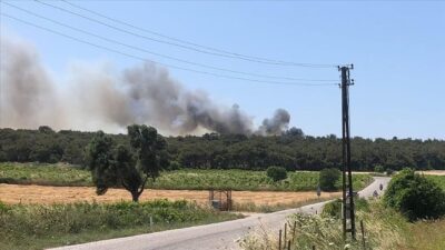 Bozcaada’da orman yangını