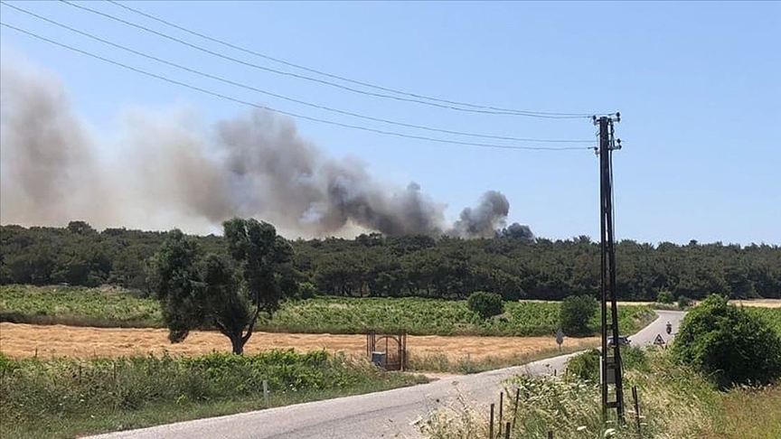 Bozcaada’da orman yangını
