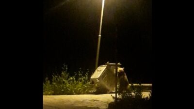 Uludağ’da ayı ailesinin renkli görüntüleri…Köpeği böyle kovaladı