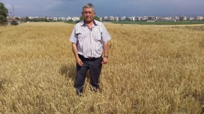 Yenişehir ovasında hasat zamanı