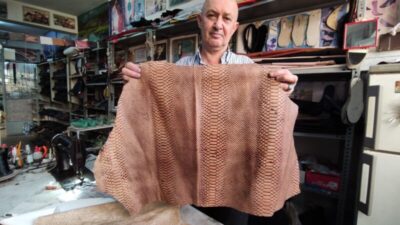 Yılan derisinden yapılan ayakkabılar 4 bin liraya alıcı buluyor