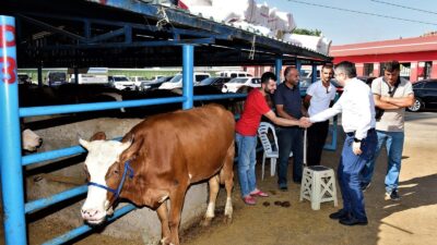 Yıldırım bayrama hazır