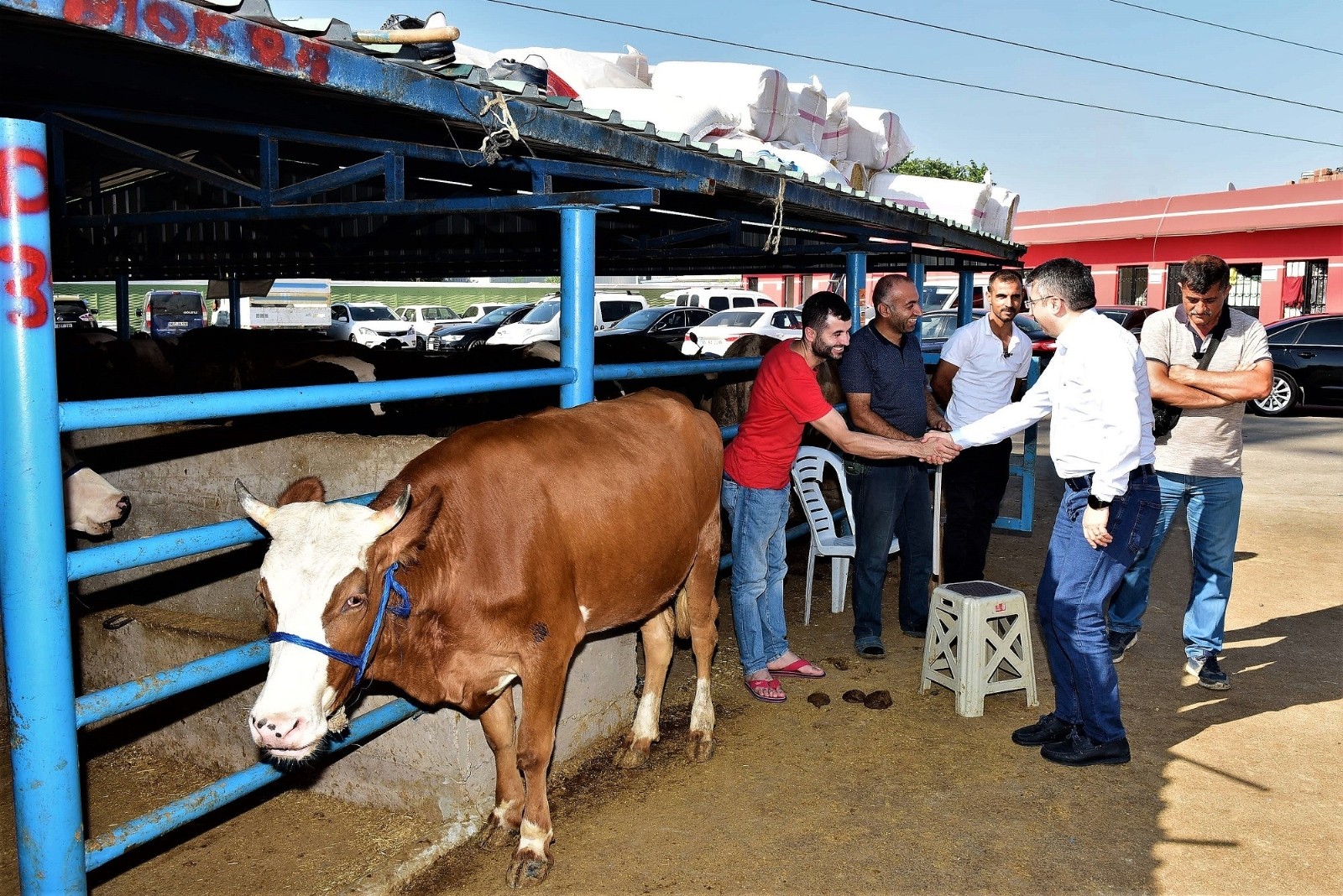 Yıldırım bayrama hazır Yıldırım bayrama hazır