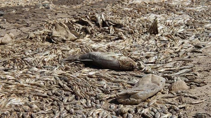 Korkutan görüntü harekete geçirdi! Nedeni belli oldu Korkutan görüntü harekete geçirdi! Nedeni belli oldu