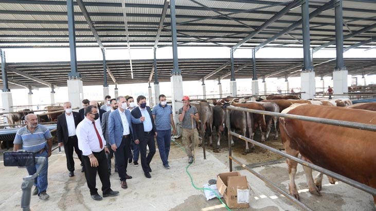 Modern hayvan pazarı ilk bayramda yüzleri güldürdü
