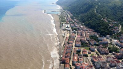 Sahil kahverengiye büründü