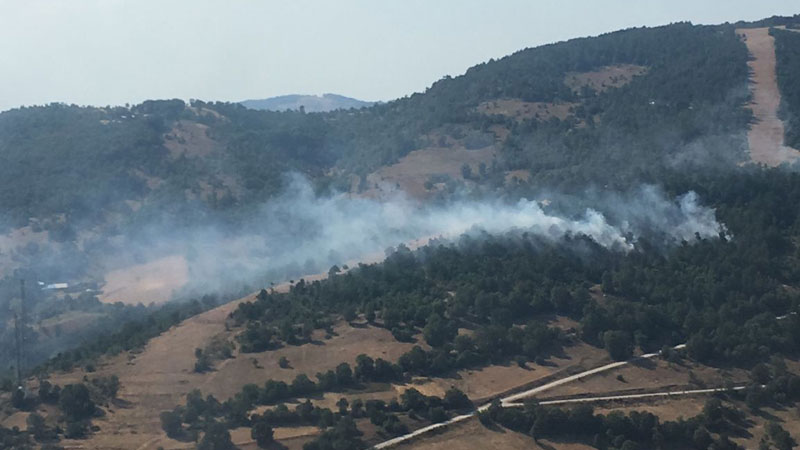 Bursa’da orman yangını Bursa’da orman yangını