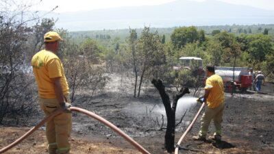 Bursa’da korkutan yangın
