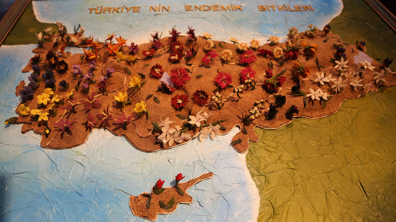 İğne oyası dünya vitrininde İğne oyası dünya vitrininde