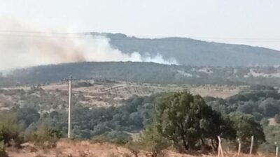 Alevler yükseliyor! Bir kötü haber de Balıkesir’den