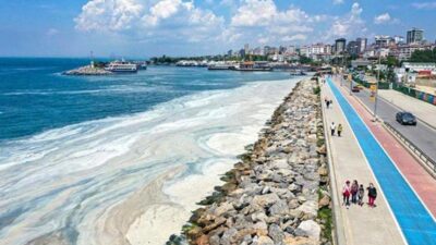 Müsilaj sonrası Marmara’dan balık yenir mi?