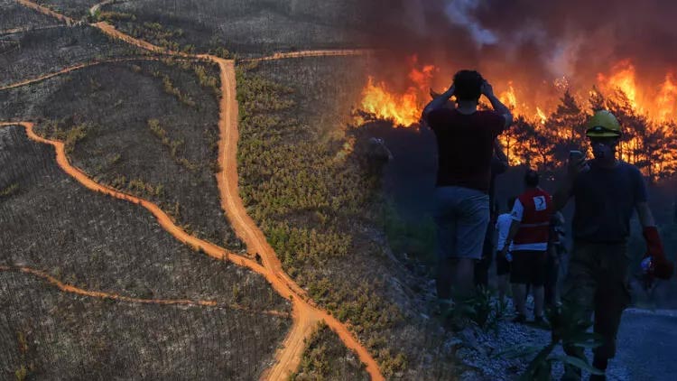 Yanan ormanlar için 3 farklı senaryo Yanan ormanlar için 3 farklı senaryo