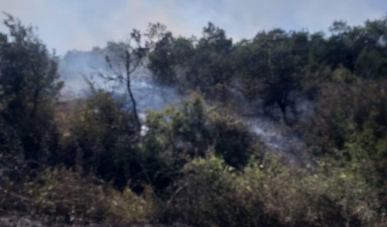 Bursa’da faciadan dönüldü! Ormana sıçradı… Bursa'da buğday biçerken alev alan biçerdöver küle döndü.