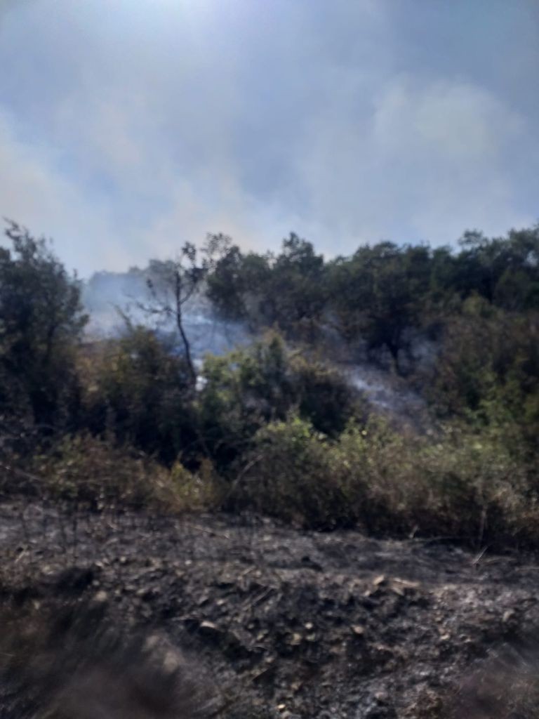 Bursa’da faciadan dönüldü! Ormana sıçradı… Bursa’da faciadan dönüldü! Ormana sıçradı…
